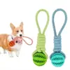 Juguetes Interactivos para Perros Pelotas con Cuerda para Premios y Goma para Perros Pequeños y Medianos, Resistentes a la Mordida, Limpieza Dental para Mascotas