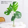 Planta Hidropônica Monstera Planta Verde Purificação do Ar Interno Ave do Paraíso Folha Grande Folhagem Perene de Interior Vaso Tronco Velho