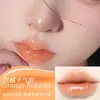 Líneas Iluminadoras, Esencia de Aislamiento Térmico, Aceite para Labios, Miles de Colores, Bálsamo Labial Húmedo Antiarrugas, Bálsamo Labial Hidratante y Acuoso