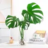Planta Hidropônica Monstera Planta Verde Purificação do Ar Interno Ave do Paraíso Folha Grande Folhagem Perene de Interior Vaso Tronco Velho
