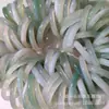 Espacio Libre del Contrapunto Pulsera de Calcedonia Viva Banshan Medio Pulsera de Ágata Violeta Pulsera de Jade Macarrón Degradado
