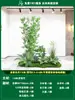 Paisagismo de Planta Artificial Varanda Arranjo de Paisagem Escada Interna Sob Árvore de Flores Artificiais Decoração Biomórfica Planta Verde Paisagismo Combinação