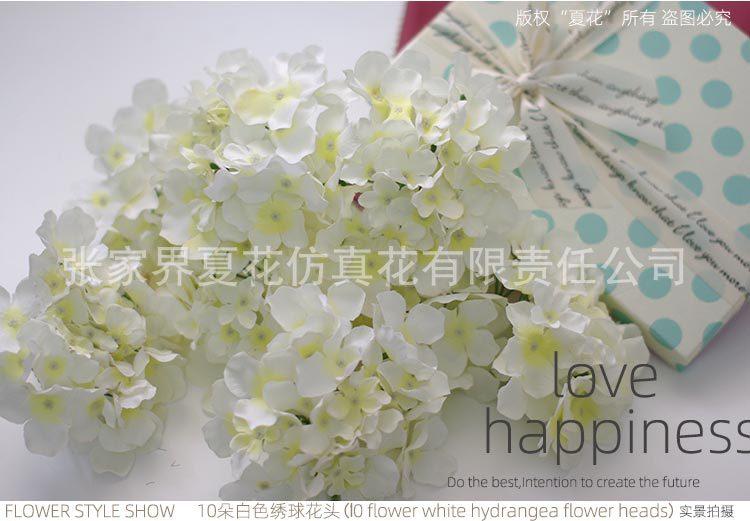 绣球花头XH(2014)_23.jpg