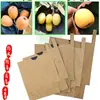 Sacos para Ensacar Nêsperas, Sacos para Nêsperas, Sacos para Ensacar Mangas, Sacos para Ensacar Frutas, Ensacamento de Frutas, À Prova de Insetos, À Prova de Pássaros, À Prova d'Água, À Prova de Sol