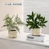 Plantas Verdes Artificiales, Flores Falsas, Flores Artificiales, Plantas Pequeñas de Escritorio en Maceta, Adornos Decorativos, Estanterías, Plantas Verdes Artificiales, Accesorios de Fotografía