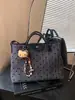 Bolsa Tote de Bolinhas Listradas para Mulheres 2026 Nova Grande Capacidade Bolsa Transversal para o Dia a Dia Outono Inverno Bolsa de Mão de Lona Retrô
