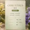 Botella pequeña de 10 ml de aceite esencial de aromaterapia sin llama, líquido de recarga para difusor de aroma de hotel, fragancia natural, aroma duradero, venta al por mayor