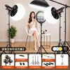 Luz de relleno profesional de 100W para transmisiones en vivo, ideal para vlogs de belleza, transmisiones en vivo, iluminación COB, fotografía y retratos
