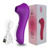 Dispositivo de Succión Pequeño Delfín, Huevo Vibratorio, Varita Mágica de Succión Femenina, Dispositivo de Succión, Vibrador de Masturbación, Juguete Sexual para Adultos, Juguete Sexual