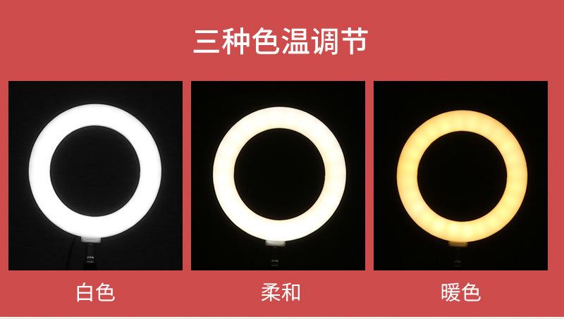 详情页补光灯6寸_06