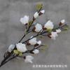 Flor Simulada Flor de Magnolia de Múltiples Cabezas Flor de Seda Floral para Mesa de Comedor de Sala de Estar Decoración de Sala de Estar Jarrón Ramo Simulado Venta al por Mayor
