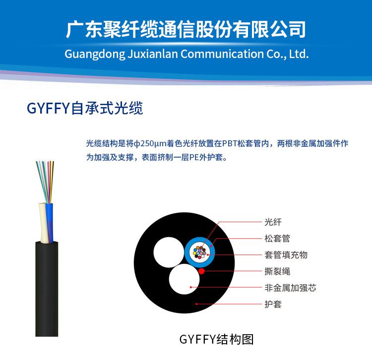 详情 (1)