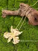 Pendientes Grandes de Flor Exagerada de Europa y América, Marca Transfronteriza Za En Stock Pendientes Metálicos Lacados Blanco Crudo, Exquisito Collar