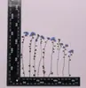 Miosótis com Ramos diy Real Flower Material Package Plant Specimen Dried Flower Baffled Flower Bookmark Face Decoration Dried Flower