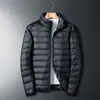 Jaqueta Masculina Leve de Penas e Algodão com Gola Alta Outono/Inverno 2024, Jaqueta Casual Quente, Casaco para Casal, Jaqueta de Inverno Tendência
