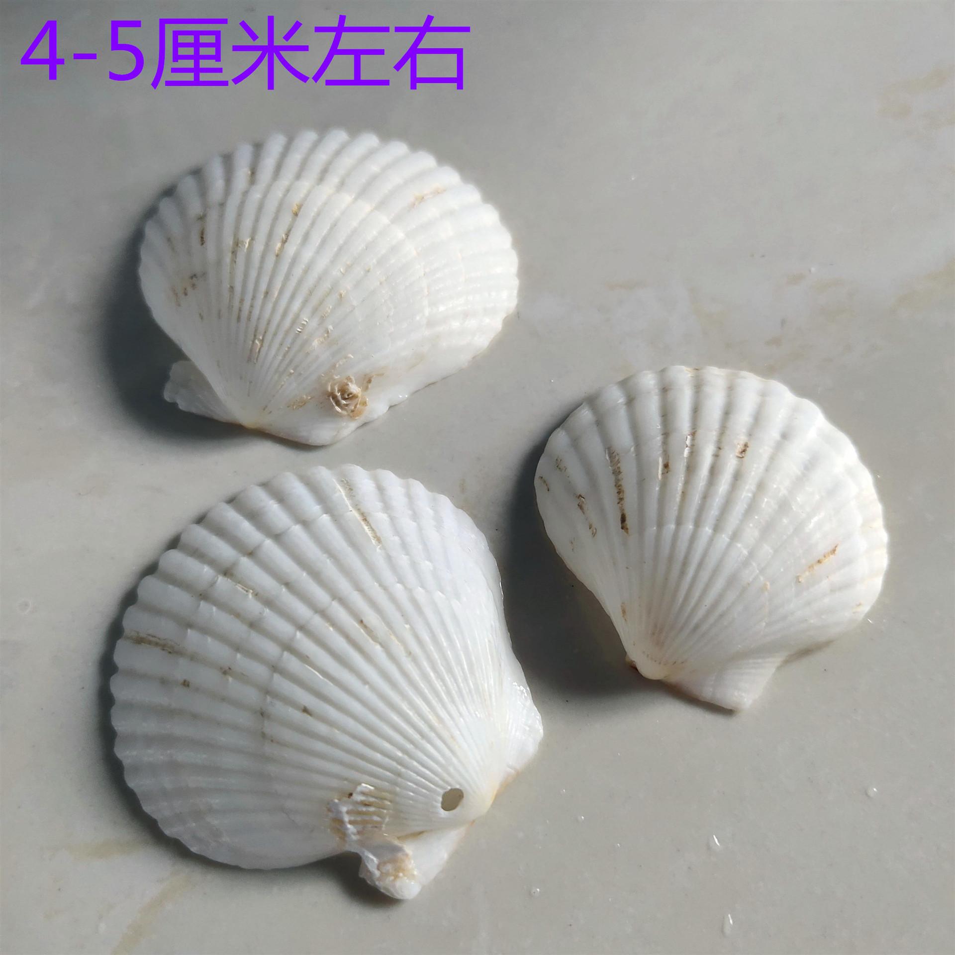 IMG_20200129_125314_副本