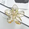 Novo Conjunto de Outono e Inverno Cruzado com Plumeria Escovada Presilha de Cabelo Bauhinia Estilo Festivo Elegante Presilha de Tubarão Acessórios de Cabelo Presilha de Cabelo