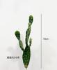 Plantas desérticas tropicales portadoras de yang plantas arenosas paisajismo cactus espantapájaros en maceta grande de pie para piso ventana verde