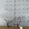 Tocones de Árbol Muerto Ramas Modelo Microscópico Escena Fabricación Suministros para Mascotas Base de Figura Embellecimiento de Fondo Decoración Obstáculo