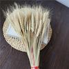 Amazon Venda Quente Decoração de Casa Estilo Boêmio Mix and Match Pacote de Flores Secas Pequeno Reed Simples Pacote de Flores Secas