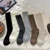 Calcetines color marrón melardo, calcetines de media pantorrilla para mujer, ribete de encaje para primavera y otoño, estilo japonés y coreano, combinados con zapatos pequeños de cuero, calcetines con volantes