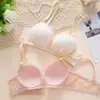 Conjunto de Lingerie Sexy Macio com Suporte de Renda para Mulheres com Seios Pequenos Push-Up Sem Aro Fino Conjunto de Sutiã para Meninas