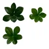 Flores de Campana Colgantes Simuladas Hojas DIY Flores Falsas y Plantas Verdes Tela para Paisajismo Materiales Accesorios Fotografía Adornos Florales Hojas de Azalea