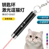 Caneta Laser Teaser para Gatos Pen Drive de Projeção para Animais de Estimação com Múltiplos Padrões, Aço Inoxidável, Substituível com Pilha AA