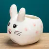 Vaso de cerâmica criativo com animal de desenho animado para planta suculenta, simples, moderno, para jardinagem, combinação fofa de coelho, planta em vaso mini