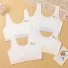Ropa interior sin costuras para niñas, Chalecos de desarrollo para niñas, Sujetadores para adolescentes de secundaria y preparatoria, Sujetadores para jóvenes