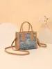 Bolso Pequeño Casual Nuevo Tendencia Denim Primavera y Verano 2025 Bolso Cruzado Estilo Acolchado Bolso de Hombro Maletín Bolsa Cuadrada Pequeña