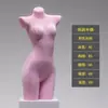 Loja de Lingerie Modelo Roupas Femininas Adereços Loja de Roupas Sutiã Push-Up Meio Comprimento Roupas Íntimas Femininas Modelo Suporte de Exibição de Corpo Humano Falso Meio Comprimento