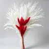 Ramo de Flores Secas, Hierba de la Pampa Más Vendida de Amazon, Juncia, Gypsophila, Flores Secas Serie Rosa, Regalo para el Día de San Valentín Chino y Navidad