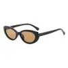 Óculos de Sol Oval com Armação Pequena Estilo Novo Transfronteiriço, Óculos de Sol Feminino Fashion Cat-Eye Estilo de Rua, Óculos de Alta Qualidade, Personalizados e Versáteis
