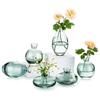 Jarrón de Lujo Accesible de Venta Caliente Transfronterizo Vidrio de Alta Gama Muebles para el Hogar Estilo Ins Jarrón Mini de Alto Valor para Arreglos Florales