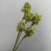 Flor artificial, 3 bolas de cebolla, flor falsa, decoración del hogar, diente de león, fruta, planta de interior, material para arreglos florales, plástico, frijol adzuki, fruta