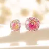 Henson Color Doble Gradiente Corte Rosa Circonita Acero de Titanio Tornillo Hélice Hélice de Oreja Uña de Oreja Nicho Pendientes de Alta Gama para Niña