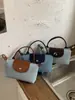 Bolsa de Ombro Color Block Estilosa Nova de Verão 2026 Transfronteiriça para Mulheres, Bolsa Transversal de Ombro Único Nicho, Bolsa Simples para Celular