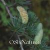 Nepal natural orgânico óleo essencial de cedro do Himalaia aromaterapia de madeira cuidados com a pele massagem óleo essencial único matérias-primas