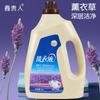 Barriles Grandes de 5 kg de Detergente para Ropa de Lavanda, Caja Completa en Paquete Económico para Uso Doméstico, Detergente para Ropa de Fragancia Duradera, Fabricante Mayorista