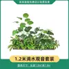 Combinación de Plantas Verdes Artificiales para Paisajismo de Balcón, Plantas Falsas de Interior, Árboles de Paisajismo para Esquinas y Decoración de Ventanas