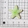 Accesorios de resina de estrella de mar frescos y sencillos para manualidades, accesorios de decoración con pegamento de crema para Crocs, pinzas para el cabello y decoraciones hechas a mano