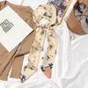 Bufanda Pequeña de Seda para Mujer Estilo Coreano Versátil Letra Geométrica Cinta Diadema Larga Estrecha Elegante de Moda Bufanda Decorativa Multifuncional