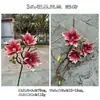 Nuevo producto transfronterizo: Flores de Magnolia Rosa Artificiales, Magnolia de la Fortuna de 3 Cabezas, Accesorios para Fotografía de Bodas y Hogar, Flores Falsas Decorativas