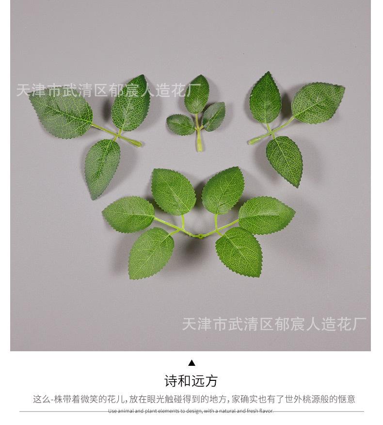 详情_08.jpg