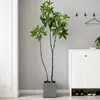 Planta Verde Artificial Grande Nórdica Árvore da Fortuna Decoração de Chão para Entrada de Casa Interior Paisagismo Planta Falsa em Vaso Personalização