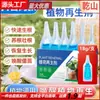 Solução Nutritiva Concentrada Regeneradora de Plantas Planta Verde Flor Vaso Jardinagem Doméstica Fertilizante Fertilizante Universal Solúvel em Água