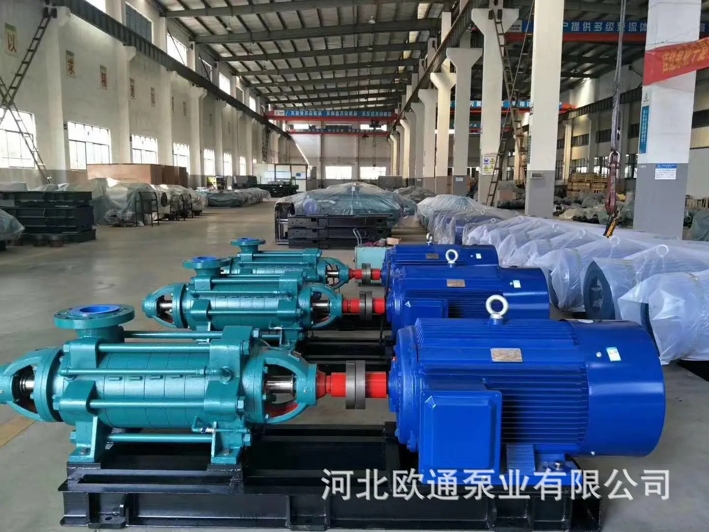 mmexport1545252913927.jpg