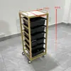 Novo Carrinho de Cabeleireiro, Carrinho de Ferramentas para Salão de Beleza, Carrinho de Cabeleireiro Multifuncional, Carrinho para Permanente e Coloração de Barbearia, Carrinho de Armazenamento