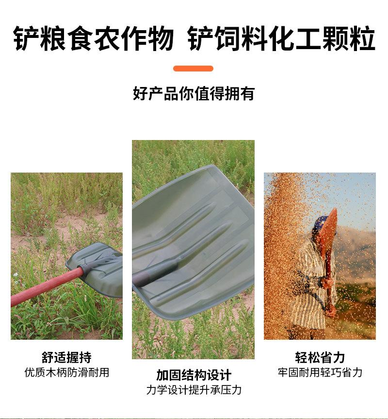 未标题-1_02.jpg
